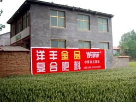 新昌如何让墙体广告展现最大化效果