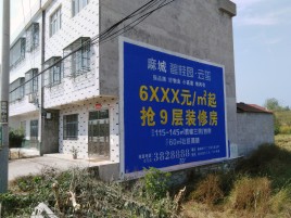 新昌墙体广告质量分析