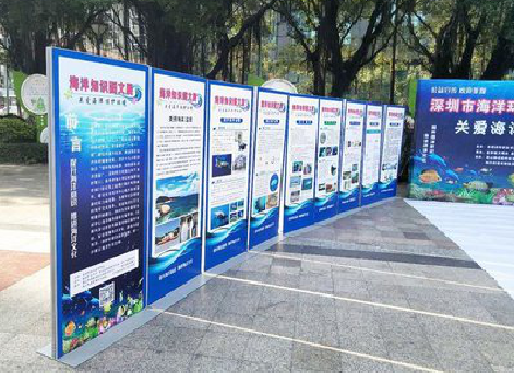 新昌KT板的种类和知识。